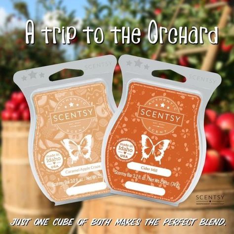 Cider mill and caramel apple craze. Buy 5, get one free Scentsy Fall Winter 2023 Mixology, Scentsy Recipes 2023, Scentsy Mixers 2024, Scentsy Mixology 2022 Fall, Scentsy Mixology 2023, Scentsy Combinations, Scentsy 2022, Scentsy Mixers, Scentsy Sample Ideas