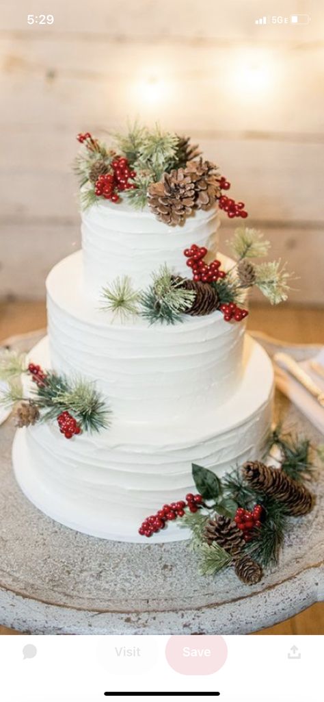 Wedding Cake With Fairy Lights, Wedding Cake Christmas Theme, Winter Themed Wedding Cakes, Simple Christmas Wedding Cake, Christmas Wedding Cakes Elegant, Christmas Theme Wedding Cake, December Wedding Cakes, Christmas Themed Wedding Cake, Christmas In July Wedding Theme