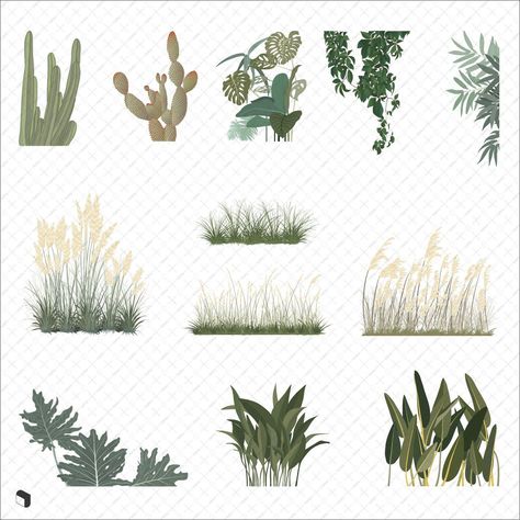 Flat Vector Scene Plants #brushprocreate #brushesillustrator #photoshopbrushes #vectorbrushes #brushesinstagram #facebookbrushes #brushesdownload #brushesfree Architecture Illustration Photoshop, Plants Photoshop, Plant Drawings, Landscape Architecture Graphics, Architectural Plants, Photoshop Rendering, Landscape Architecture Drawing, Architectural Presentation, Interior Architecture Drawing