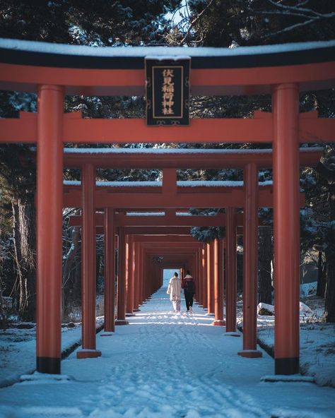 Sapporo Fushimi Inari Shrine is a shrine established in 1884 in Fushimi. It is well-known for vermilion torii gates in a row. In a winter, a conbinaton of white snow and the vermilion torii gates is beautiful, and a lot of overseas tourists come to enjoy the view.⁣⁣ 📷 pat_kay⁣⁣ Kyoto Winter, Hokkaido Winter, Fushimi Inari Shrine, Inari Shrine, All About Japan, Fushimi Inari, Japan Culture, Dark Art Illustrations, Visit Japan