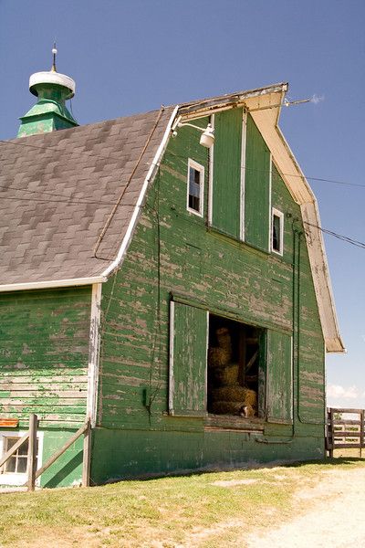 This ole barn could use a paint job... Green Barn, Barn Pictures, House Farm, Country Barns, Barn Painting, Barns Sheds, Farm Buildings, Farm Barn, Red Barns