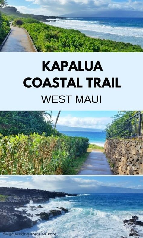 Kapalua Coastal Trail: PICS The best of this Kapalua hike in West Maui 🌴 Hawaii travel blog | Flashpacking America Maui Hawaii Honeymoon, Kapalua Maui, Maui Travel Guide, Things To Do In Maui, Hawaii Hikes, Hawaii Itinerary, Maui Hawaii Vacation, Hawaii Things To Do, Hawaii Travel Guide