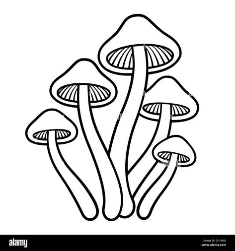 Mushroom Line Drawing, Mushroom Coloring, Punk Fashion Diy, Cats Art Drawing, Mushroom Tattoos, Easy Magic, Mushroom Drawing, Room Wall Painting, Magic Mushroom