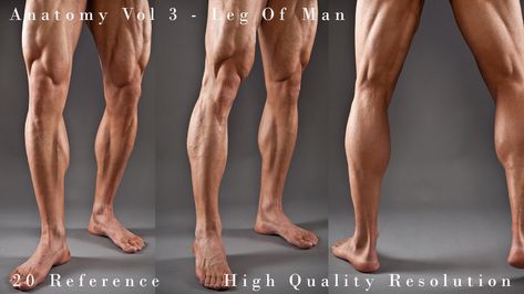 Arm Veins, How To Draw Muscles, Leg Anatomy, Muscular Legs, Muscle Anatomy, Human Anatomy Art, People Poses, Texture Photography, The Body Book