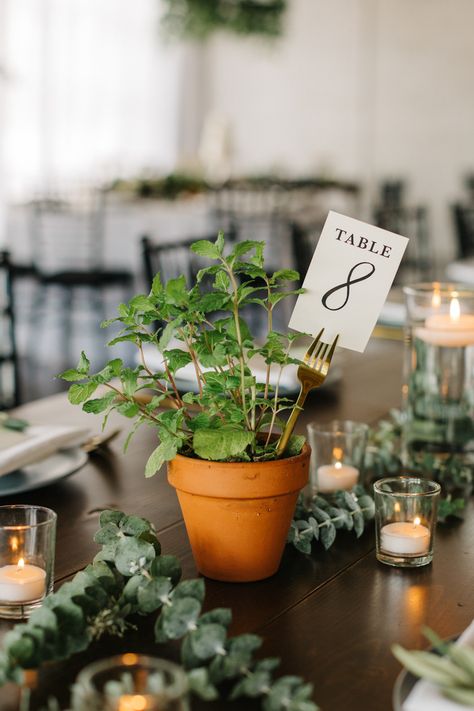 Greenery and potted plant wedding centerpiece with a fork holding the table number in Tampa, Florida | Renee Nicole Photography Terracotta Pots Table Decor, Non Traditional Table Numbers, Herbs Decoration Ideas, Terracotta Wedding Inspiration, Botanical Wedding Ceremony, Herbs Table Decoration, Herb Table Setting, Wedding Terracotta Pots, Potted Plants Wedding Table