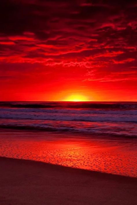 You could go to the same beach as everyone else OR you could go to an https://www.exquisitecoasts.com/ beach. You choose! #Beaches #bestbeachesintheworld #exquisitecoasts Dreamy Nature, Calming Nature, Clouds In The Sky, Image Nature, Red Sunset, Sun Set, Amazing Sunsets, School Children, Beautiful Sunrise