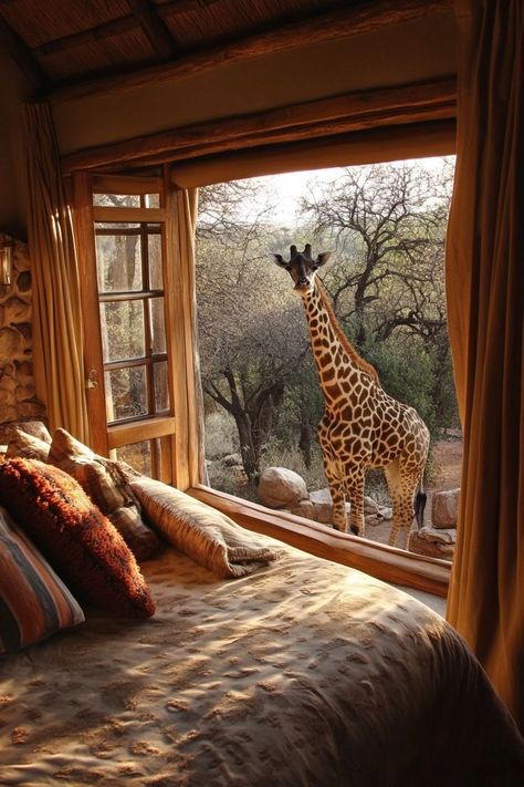 "Immerse yourself in adventure with a stay at a safari lodge in South Africa! 🦁🌿 Experience thrilling wildlife encounters and luxurious comfort in the heart of the savannah. 🏕️🌍 #SafariLodge #SouthAfrica #WildlifeAdventure" Africa Luxury Resort, Africa Safari Aesthetic, South Africa Safari Lodge, Africa Safari Travel, Africa Savannah, Africa Safari Lodge, African Lodge, Lodges South Africa, African Safari Lodge