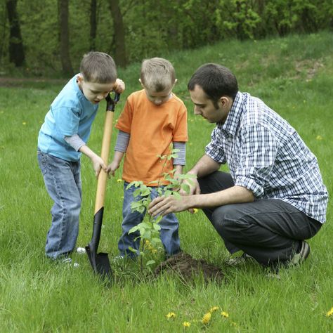 Easy Earth Day activity for kids: Plant a tree! Click for the easy how-to instructions. Environment Awareness, Sustainability Activities, Environment Activities, Earth Day Activity, Planting A Tree, Green News, Tree Day, Earth Day Activities, Plant A Tree