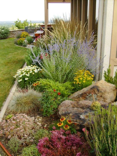 Landscaping For Front Yard, Spring Garden Ideas, Xeriscape Front Yard, Desert Gardens, Succulent Landscape Design, Succulent Landscaping, Front Yard Design, Deco Nature, High Desert