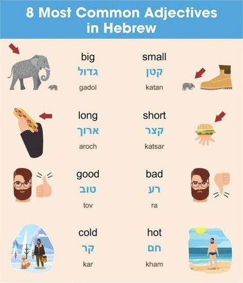 Learning Hebrew For Beginners, Words In Hebrew, Hebrew Learning, Jewish Holiday Calendar, Hebrew Language Learning, Common Adjectives, Hebrew Language Words, Hebrew Education, Jewish Quotes