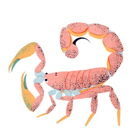 Scorpio Art, Aries Art, Story Books Illustrations, Vintage Png, Zodiac Art, Star Art, Creature Art, Cute Illustration, Figurative Art