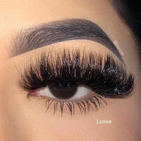 Lashes Styles, Big Eyelashes, Feather Eyelashes, Lash Collection, Best Lash Extensions, Big Lashes, Eyelash Extensions Styles, Perfect Eyelashes, Pretty Lashes