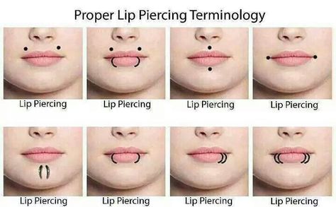 Doesnt matter were they are, theyre ALL lip piercings.  Lip piercing terminology is simple. Spider Bite Piercing, Double Tongue Piercing, Piercing Chart, Lip Piercings, Double Cartilage Piercing, Multiple Ear Piercings, Cool Piercings, Dermal Piercing, Piercing Studio