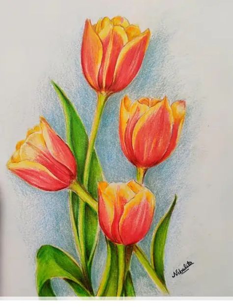 Colour Pencil Art Easy, Pencil Colour Drawing Flower, Intermediate Drawing, Pencil Colour Drawing, Colored Pencil Artwork Ideas, Colour Pencil Drawing, Analogous Color Scheme, Colour Drawing, Paintings Ideas