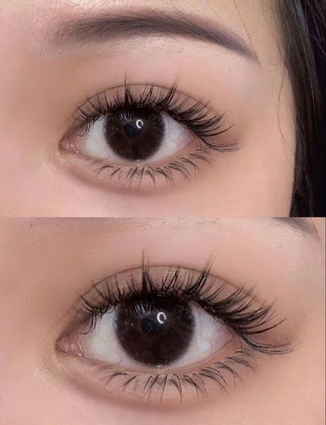 Subtle Classic Lash Extensions, Lash Extensions Styles Natural Asian, Hybrid Lash Extensions Styles Asian Eyes, Eye Extension Styles, Eyelash Extension Asian Eyes, Natural Asian Eyelash Extensions, Lower Eyelash Extensions, Natural Doll Eyelash Extensions, Natural Asian Lash Extensions