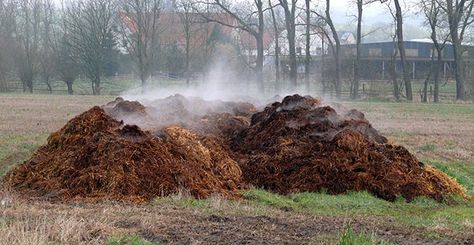 There’s money in horse honey - A look at managing horse manure - Manure Manager Heat Greenhouse, Horse Manure Management, Manure Composting, Manure Management, Las Vegas Christmas, Composting Methods, Heating A Greenhouse, Horse Manure, Compost Tumbler