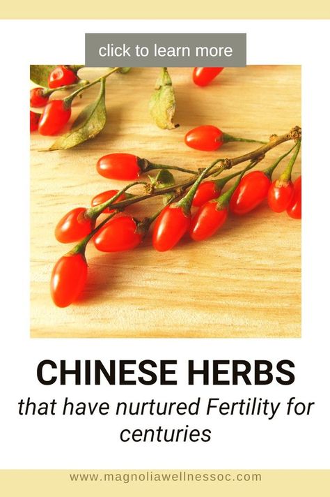 Struggling to conceive? Discover the powerful potential of Chinese herbs for fertility with our complete guide. Increase your chances of conceiving with these fertility herbs and make your dreams of starting a family come true! Eager to enrich your path to parenthood? Click to find out more on this post. Herbs For Pregnancy, Fertility Herbs, Herbs For Fertility, Holistic Healing Natural Treatments, Fertility Tea, Starting A Family, Red Raspberry Leaf, Fertility Health, Chinese Herbal Medicine