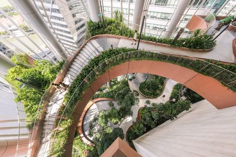 Biophilic Architecture, Air Garden, Shade Tolerant Plants, Shigeru Ban, Urban Forest, Bjarke Ingels, Architectural Competition, Rooftop Restaurant, Sky Garden