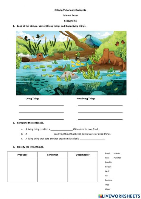 Ecosystem Lesson Plans, Changes In Ecosystems Activities, Ecosystem Activities 3rd, Ecosystem Activities Middle School, Decomposers Science Activity, Ecosystem Activities For Kids, 3rd Grade Science Worksheets, Ecosystem Worksheets, Ecosystems Activities