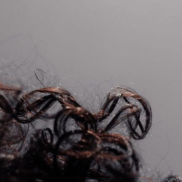 Curly Hair Aesthetic, Dark Curly Hair, Brown Curly Hair, Hair Aesthetic, Black Curly Hair, Cedar Wood, Short Curly Hair, Character Aesthetic, Short Curly