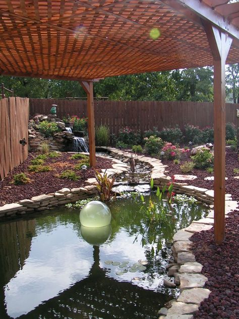 Toms Koi pond Pond Shade Ideas, Raised Pond, Pond Covers, Koi Pond Design, Fish Pond Gardens, Shade Ideas, Tattoo Plant, Goldfish Pond, Garden Pond Design