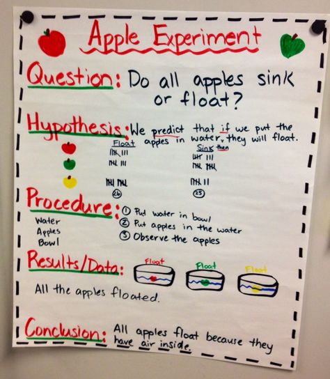 Apple Floating Experiment, Apples Sink Or Float Experiment, Apple Sink Or Float Preschool, Apple Tasting Anchor Chart, Parts Of An Apple Anchor Chart, Apple Anchor Chart Preschool, Apple Exploration Preschool, Sink Or Float Anchor Chart, Preschool Apple Science