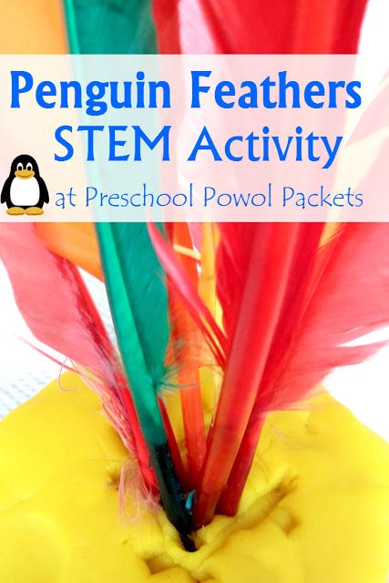 Penguin Feather Science STEM with Preschoolers! Fun for preschool, kindergarten, and elementary students!  from Preschool Powol Packets Stem Preschool, Stem Curriculum, Homeschool Preschool Curriculum, Preschool Stem, Science Stem, Engineering Activities, Activities For Boys, Preschool Science, Stem Projects