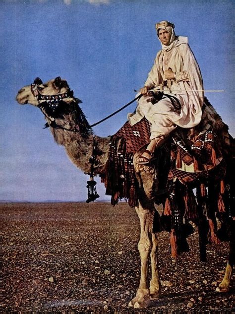 Laurence Of Arabia, Arab Revolt, T E Lawrence, David Lean, Peter O'toole, Lawrence Of Arabia, Digital Museum, Foreign Film, Glamour Photo