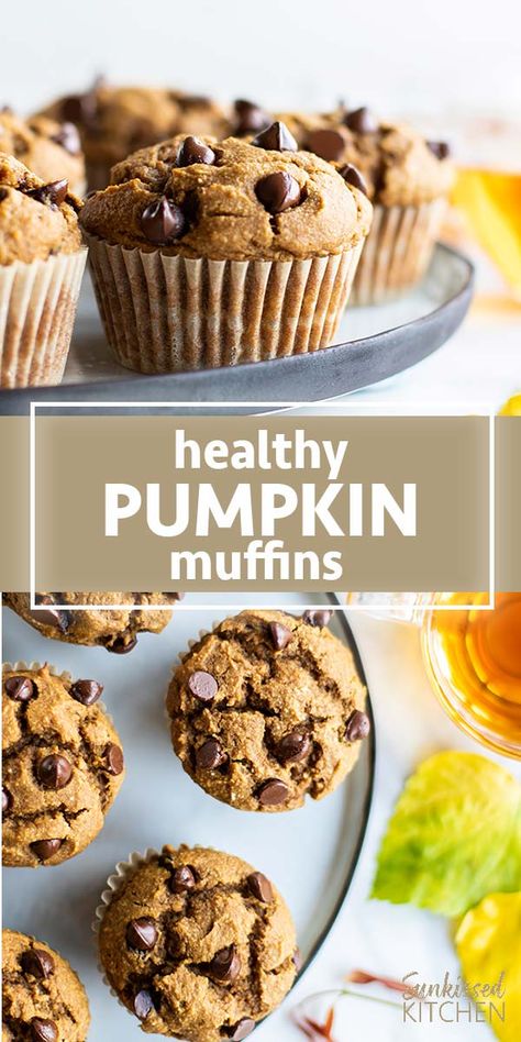 Pumpkin Breakfast Muffins, Healthy Pumpkin Chocolate Chip Muffins, Healthy Chocolate Chip Muffins, Healthy Pumpkin Muffins, Pumpkin Protein Muffins, Fluffy Muffins, Muffins Breakfast, Pumpkin Breakfast, Chocolate Chip Muffin Recipe