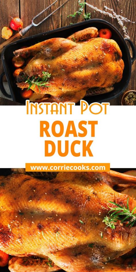 Instant Pot Roasted Duck https://www.corriecooks.com/instant-pot-roasted-duck/ Instapot Duck Recipe, Pressure Cooker Duck Recipes, Whole Duck Instant Pot Recipe, Duck Recipes Instant Pot, Instant Pot Duck Recipes, Duck Instant Pot Recipe, Crockpot Duck Recipes, Instant Pot Duck, Slow Cooker Duck