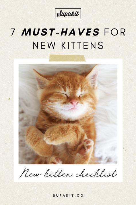 Must Have Cat Products, Best Cat Products, Kitten Must Haves, Cat Essentials Aesthetic, Amazon Cat Must Haves, Kitten Necessities List, First Kitten Checklist, What Do You Need For A New Kitten, Cat Must Haves