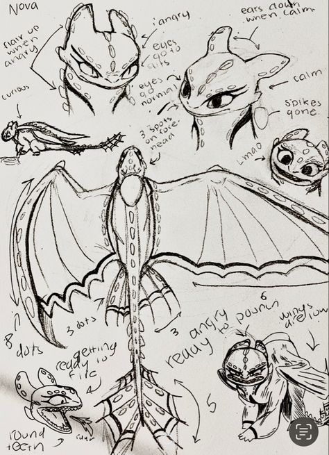 Elder Night Fury, Nightfury Sketches, Night Fury Dragon Drawing, Night Fury Anatomy, Httyd Toothless And Light Fury, Night Fury Sketch, Httyd Book Of Dragons Pages, Light Fury Drawing, Night Fury Drawing