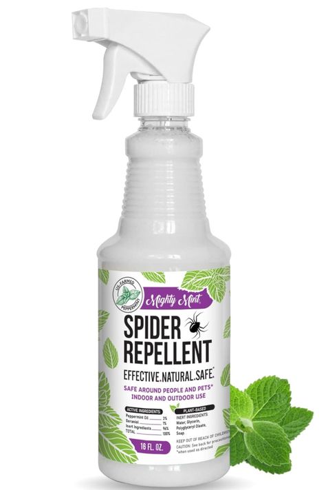 How To Stop Spiders From Getting Inside - 3 Tricks That Work! Spider Spray, Row Gardening, Spiders Repellent, Get Rid Of Spiders, Cedar Oil, Stink Bugs, Japanese Beetles, Diy Pergola, Raising Chickens