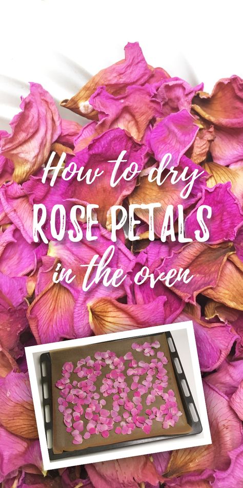 How to dry rose petals in the oven? (tutorial + video) Drying Rose Petals, Dry Rose Petals, Pumpkin Spice Body Butter, Homemade Rose Water, Affordable Skin Care Routine, Dry Rose, Fresh Rose Petals, Dog Rose, Drying Roses