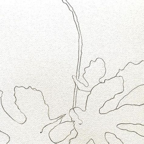 Kathryn Leeds on Instagram: "Sunday’s drawing ~ fig leaves 🍃 from our garden #figleaf #botanicalart #contourdrawing #mymeditation #minimalism #contemporaryart #kathrynleedsartist" Fig Tree Drawing, Leave Tattoo, Fig Drawing, Tattoo Abstract, S Drawing, Contour Drawing, Fig Leaves, Abstract Tattoo, Tree Drawing