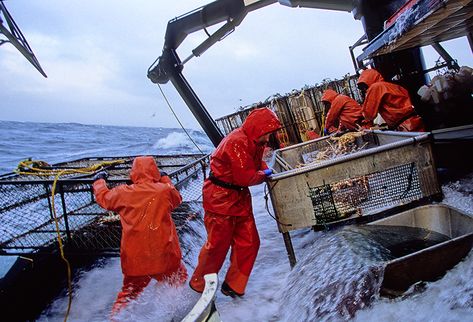 Crab fishermen AK The Dark Tide, Man Overboard, Alaskan King Crab, Dark Tide, Nautical Aesthetic, Alaska The Last Frontier, Commercial Fishing, Dangerous Jobs, Deadliest Catch