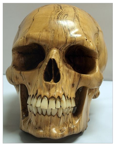 Skull carved from Olive wood with Elk teeth. Wooden Skull, Whittling Projects, Oil Pastel Drawings Easy, Face Carving, Cane Handles, Wooden Words, Chip Carving, Chainsaw Carving, Skull Artwork