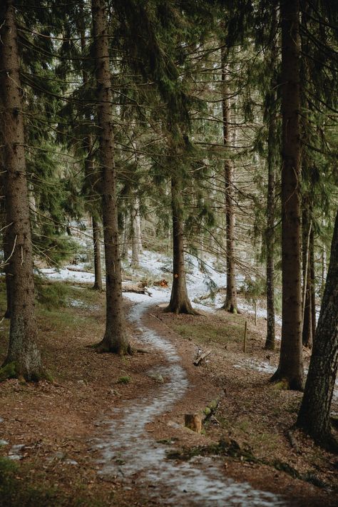 Sipoonkorpi Winter Hiking: Byabäcken Nature Trail - In the Woods, Dear Walks In The Woods, Living In The Woods Aesthetic, Wood Working Aesthetic, Winter Hike Aesthetic, Winter Hiking Aesthetic, Winter Woods Aesthetic, Winter Walk Aesthetic, Trail Running Aesthetic, Nature Walk Aesthetic