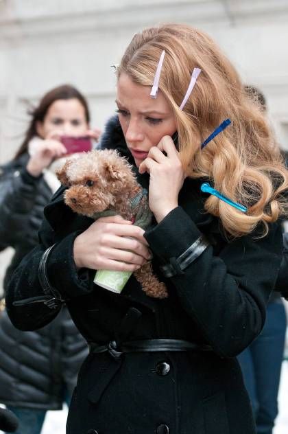 Blake Lively Family, Pets Photos, Toy Poodles, Gossip Girl Outfits, Xoxo Gossip, Gossip Girls, Gossip Girl Fashion, Perez Hilton, Toy Poodle