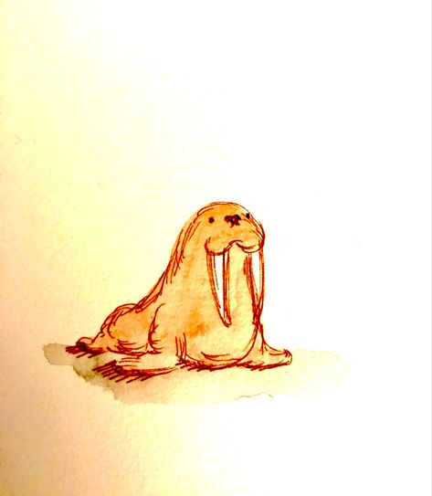 Walrus Drawing, Marine Christmas, Fish Out Of Water, Animal Illustration Art, Sketchbook Drawings, Creative Tattoos, Cool Art Drawings, Watercolor Artist, Peta