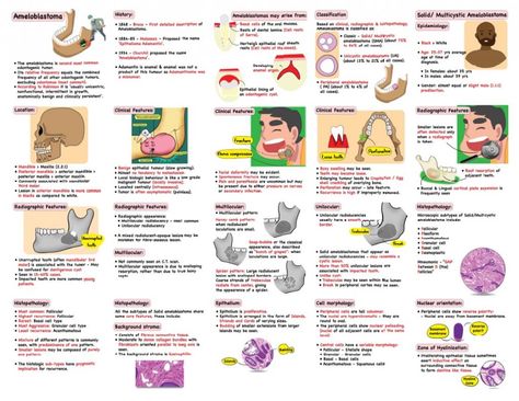 Dental Assistant Study Notes, Dental Notes, Dental Assistant Study, Parotid Gland, Oral Pathology, Dental Exam, Basal Cell, Collagen Fibers, Loose Tooth