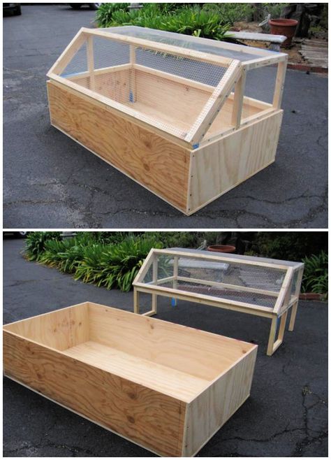 15 Easy DIY Chicken Brooder Plans You Can Make Pallet Chicken Brooder, Diy Baby Chicken Coop Ideas, Homemade Chicken Brooders, Easy Diy Chicken Brooder, Diy Chicken Brooders, Easy Chicken Brooder Ideas, Chicken Coop Brooder, Turkey Feeders Ideas, Chick Brooder Inside Coop