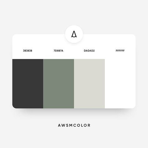 Flat Color Palette, Web Colors, Hex Color Palette, Brand Color Palette, Web Graphic Design, Color Palette Design, Color Inspo, Website Inspiration, Color Swatch