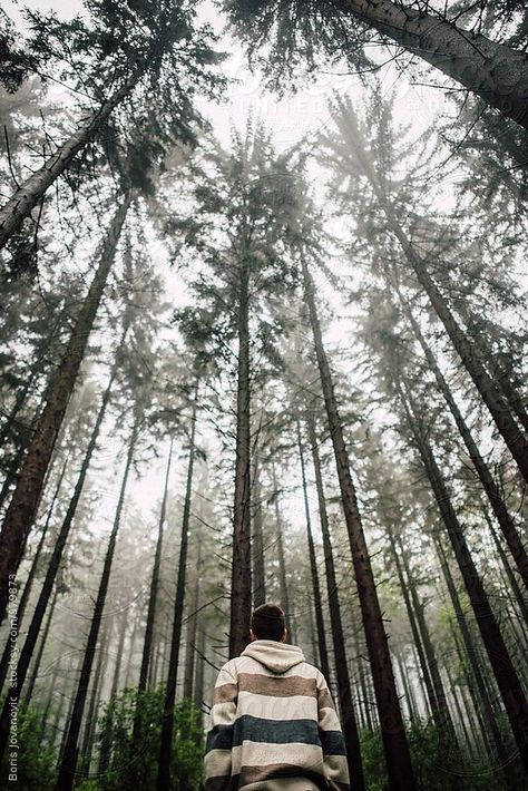 Back Portrait, Photos Tumblr, Man Standing, Pin Image, Pine Trees, Trees, Forest