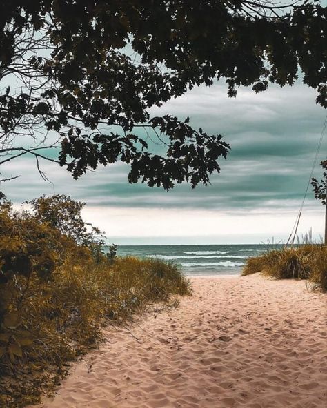 35 BEST Places to Visit for Michigan Fall Colors in 2023 Fall In Michigan, Michigan Travel Destinations, Lake Michigan Beaches, Pictured Rocks National Lakeshore, Mackinaw City, Michigan Beaches, Scenic Road Trip, Scenic Roads, Lake Huron