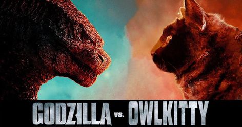 A parody of Godzilla vs. Kong featuring OwlKitty the cat, who’s been my favorite cat of the Internet for the past 2 years. Enjoy! The post Godzilla vs. Cat [Video] appeared first on Geeks are Sexy Technology News. Godzilla Video, Godzilla Funny, Godzilla Vs Kong, Hate Cats, Owl Cat, Kaiju Monsters, Godzilla Vs, Famous Movies, Crazy Funny Videos