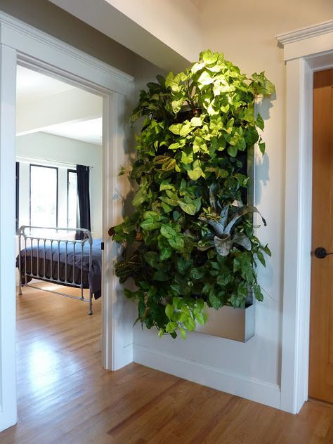 Plants On Walls Vertical Gardens: Low-light Tropical Living Art Living Wall Indoor, Vertical Garden Systems, Garden Pathways, Gardening Decor, Indoor Plant Wall, Vertical Garden Indoor, Vertical Garden Design, Vertical Vegetable Garden, Vertical Garden Wall