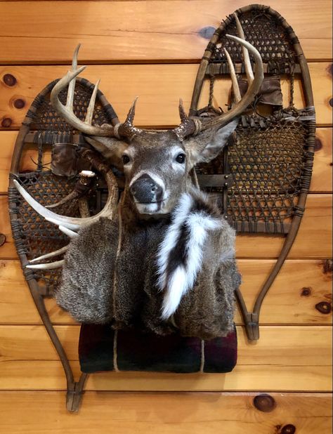 Deer Backpack Mount, Backpack Deer Mount, Deer Mounts Ideas, Cool Deer Mounts, Antler Art Projects, Buck Mounts, Skull Mount Ideas, Turkey Hunting Decor, Hunting Mounts