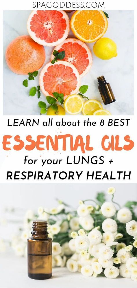 Diffuser Blends For Respiratory Support, Diffuser Blends For Lung Support, Oils For Respiratory Infection, Essential Oils Respiratory Support, Essential Oils For Phlegm Cough, Essential Oil For Chest Congestion Lungs, Oils For Chest Congestion And Cough, Essential Oils For Respiratory Infection, Essential Oils For Respiratory Issues