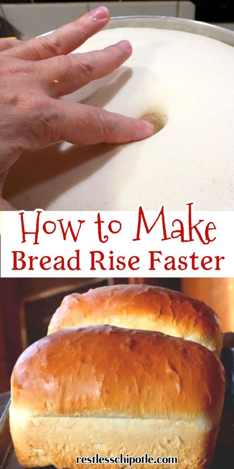 Bread Not Rising, Bread Rising Tips, Rising Bread Dough In Oven, Universal Bread Dough, How To Proof Dough, Proofing Bread In Oven, Bread Recipe With Self Rising Flour, Bread Made With Self Rising Flour, Bread Recipe Self Rising Flour